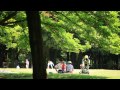 東京100景　砧公園・世田谷美術館 kinuta park・setagaya art museum eos 5d markⅡ full hd