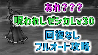 【ドラクエウォーク】強敵ゼシカ レベル30フルオート攻略