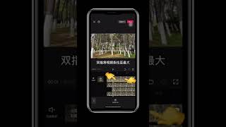 天龙八部 段誉-凌波微步