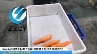 胡萝卜去皮机 potato cassava washer and peeler