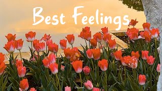 [Playlist] Best Feelings 🌻 Morning Songs for a Good Day