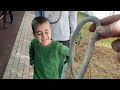 bahçede yılan var. snake in the garden fun kids video