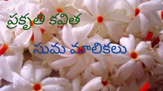 ప్రకృతి కవిత 🌿| సుమ మాలికలు 🌷 | Suma Malikalu | Nature Poetry in Telugu 🍁