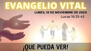 Evangelio Vital [Lunes, 18 de Noviembre de 2024 - Lucas 18,35-43]