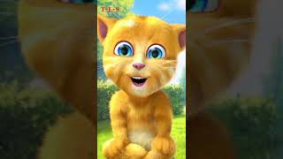 My Tom Ginger 2 Says / One Hundred Ninety Five / Short Video #shorts