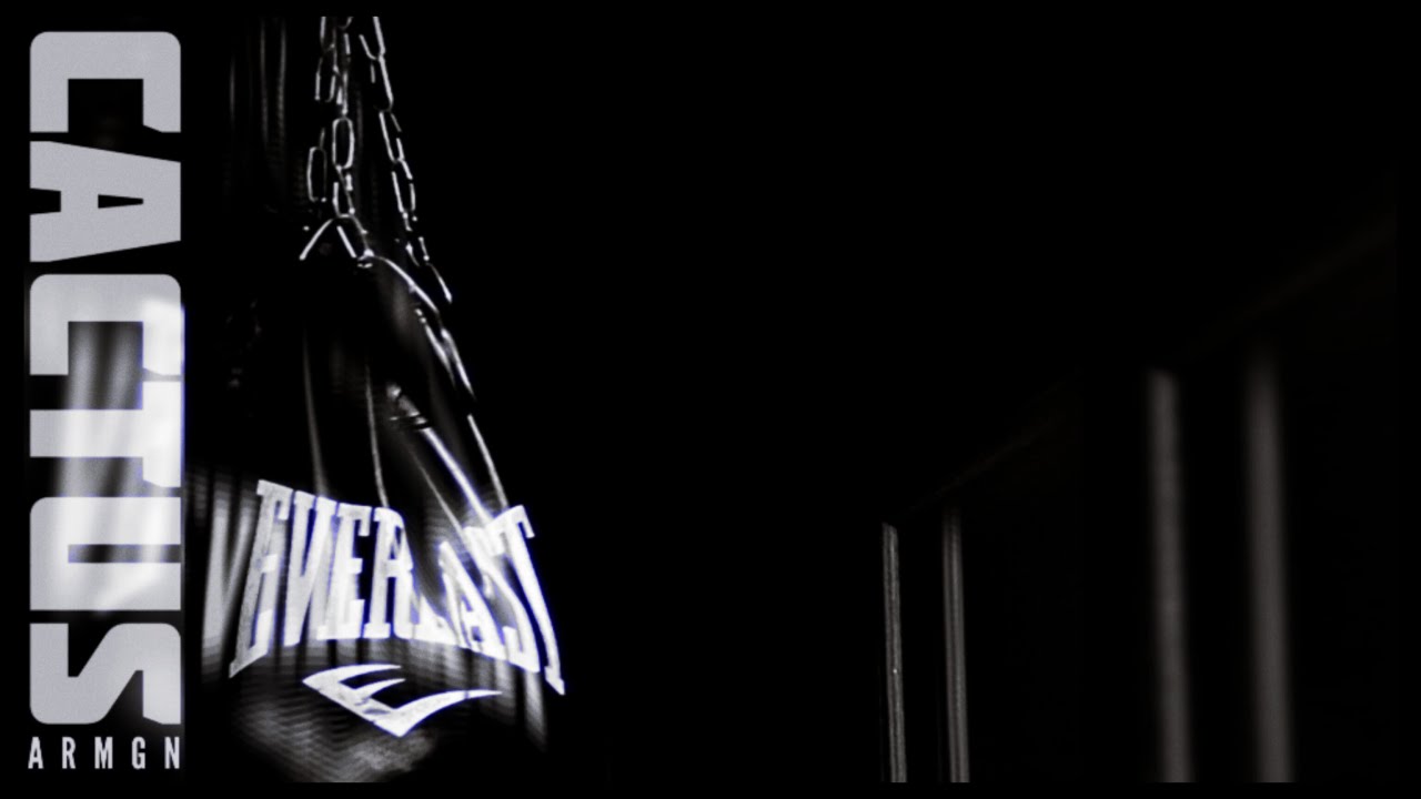 Cactus Youtube Music