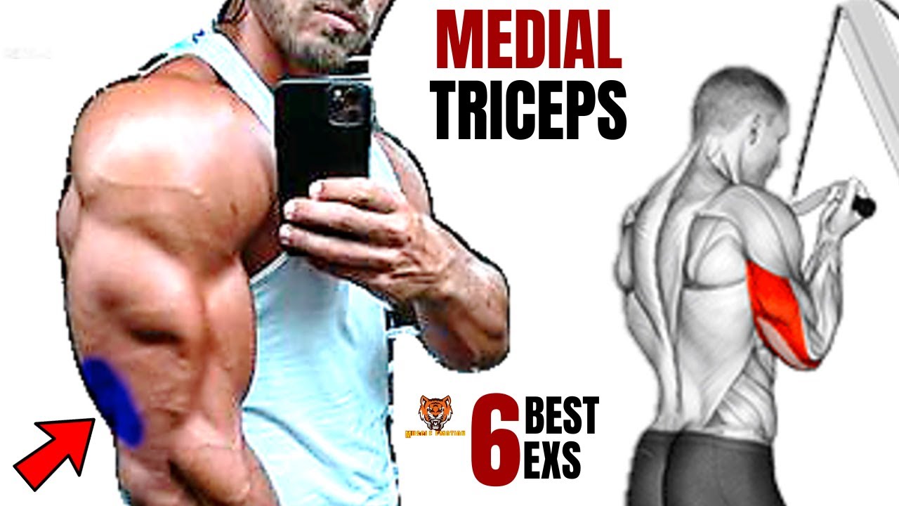 6 BEST MEDIAL TRICEP EXERICES AT GYM / Musculation Portion Médiane Des ...