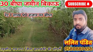 @property794 #30bigha jamin bikau bahut kam ret me khet me charo tarf tar khamba laga hua he