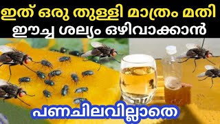 ഈച്ചയെ തുരത്താനുള്ള എളുപ്പ മാർഗങ്ങൾ | 5 Amazing Tips | How to get rid of House Flies naturally