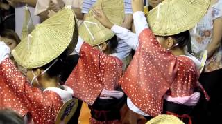 下北沢阿波踊り 高円寺しのぶ連 2012.8.18_2