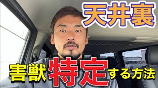 【保存版】誰でも出来る！足音を聞くだけでどの害獣か分かるようになる動画