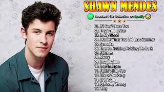 Shawnmendes Top 50 Songs All Time Shawnmendes Playlist New 2020
