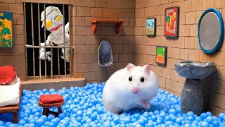 ⚔️ Hamster Escapes From The Egyptian Pyramid Maze - Mystical Challenges ⚔️ Hamsterious