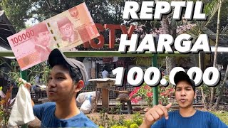 BAWA 100.000 RUPIAH KE PASAR HEWAN PASTY DAPET REPTIL KEREN!