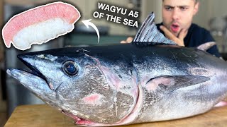 $4,000 Dry Aged Tuna Sushi