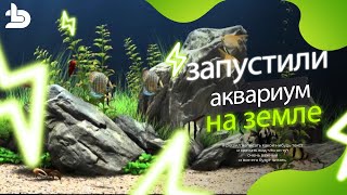 Запуск аквариума на земле с нуля