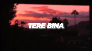 Tere Bina - (Perfectly Slowed + Reverb) |  "TERI KASAM... TERI KASAM... JAANE JANA" ❣️❣️