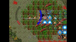 Tibia Royal Paladin 1470+ - Farmiando para actualizar la pc  de mi hermano dia 10