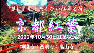 紅葉ピーク前に京都紅葉名所を巡る！京都紅葉状況10月30日：神護寺：西明寺：高山寺