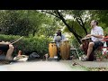 Clark Park Drummers - CPD-2024-08-10 - adungu, sekere, conga