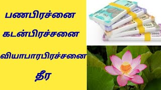 பண பிரச்சனை கடன் பிரச்சனை வியாபாரம் பிரச்சனை தீர ஆகாயதாமரை -panavaravu