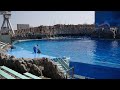 201504_日本北陸_名古屋港水族館 7