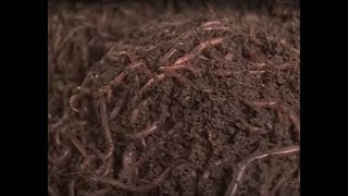 Gaon Kisan - Vermicompost special