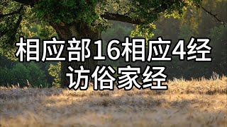 189.相应部16相应4经 访俗家经（白话佛经）解说