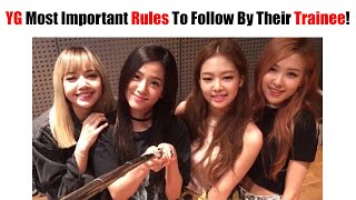 YG Entertainment Most Important Rules To Follow By Their Trainee If You Want Stay In Agency!