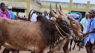 Vaniyambadi cowmarket is live!