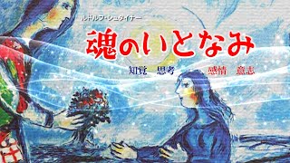 ルドルフ・シュタイナー「魂のいとなみ / 知覚・思考・感情・意志」