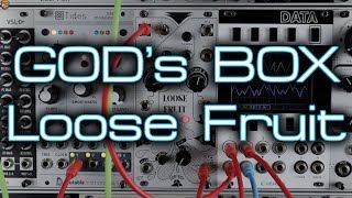 GOD's BOX Loose Fruit (a unique and inspiring dual eurorack waveshaper)