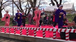 平成２９年角館町観桜会舞台⑥秋田音頭