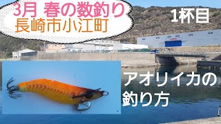 3月 春の数釣りエギング   アオリイカの釣り方！！1長崎市小江町 1.5号エギ  使い方