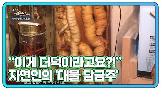 ＂이게 더덕이라고요?!＂ 자연인 10년 차 이승윤도 놀란 자연인의 '대물 담금주' MBN 210421 방송