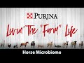 Purina Livin' the 