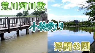 河川敷で食べられる小物を釣りたい！近場の公園で小魚釣り再挑戦【荒川河川敷＆浮間公園】