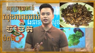 អត្ថប្រយោជន៍សុខភាពរបស់ចង្រឹតបំពង/8 Minute for Healthy/MC Lawrence Official