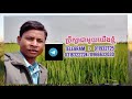 ស្រូវលើសសារធាតុចិញ្ចឹមប៉ូតាស្យូម