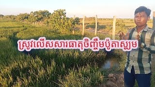 ស្រូវលើសសារធាតុចិញ្ចឹមប៉ូតាស្យូម !!!