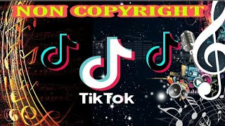 Non Copyright-Tiktok Dance Music DJ Rowel Remix
