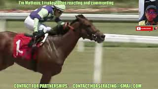 Flirtini wins at Gulfstream Park Apr, 12 2024 Horse Racing RESULTS Bet