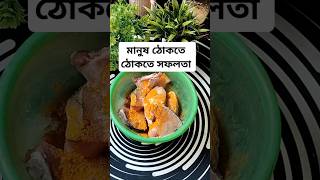 মানুষ ঠকতে ঠকতে সফলতা #food