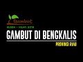 GAMBUT DI TANAH BENGKALIS - RIAU