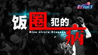 饭圈乱象毁三观！重拳整治刻不容缓，流量至上，我们该崇拜什么？【科学黑匣子】