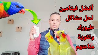 أفضل فيتامينات بشرية لتقوية مناعة طيورك وتحفيزها على الإنتاج/كوكتيل/كروان/كناري/فيشر/بادجي