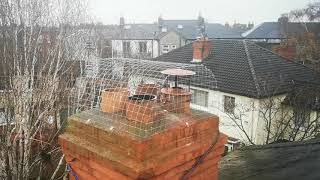 Seagull Chimney Proofing 4X2