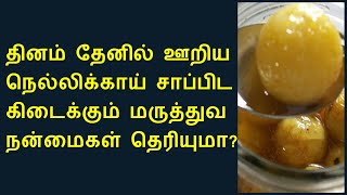 நெல்லிக்காய் தேனுரல் மருத்துவ மகிமை | Amla soaked with honey health benefits in tamil