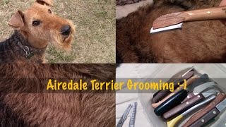 Airedale Terrier Grooming  ✔ Тримминг это!