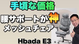 【腰によさそう】メッシュチェアは仕事に最適！「HBADA E 3人間工学オフィスチェア」をレビューします